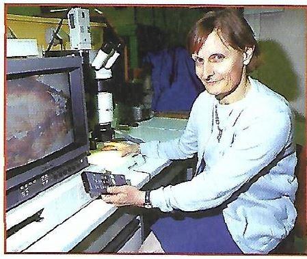 Aline tarley 1998 annees 1990 